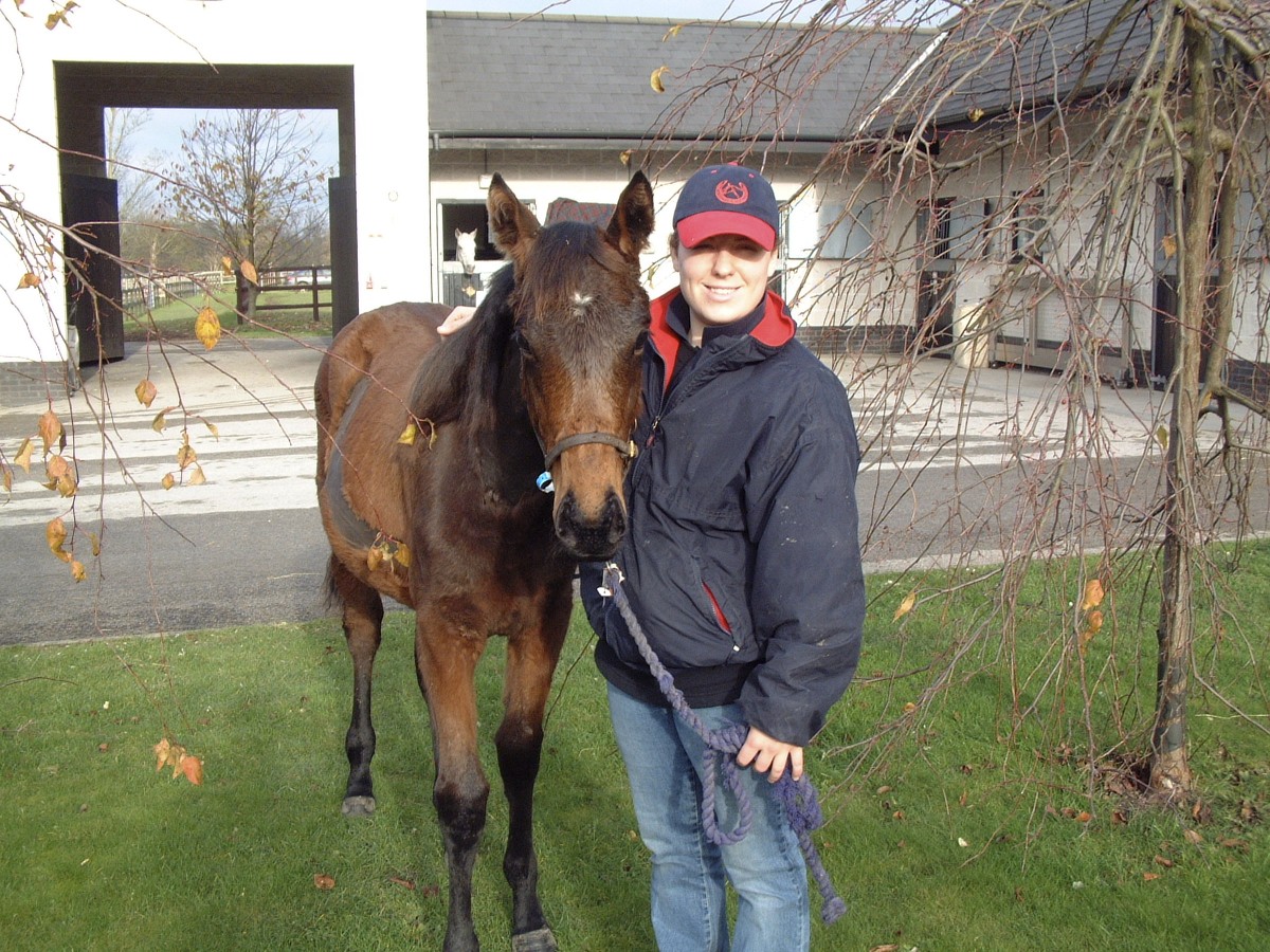 Horse Times Egypt: Equestrian Magazine :HorseTimes Blog :MATERNAL ANTIBODIES IN LAWSONIA INTRACELLULARIS INFECTION