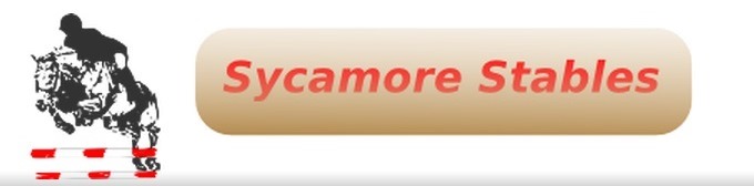 Horse Times Egypt: Equestrian Magazine :HorseTimes Blog : The Perils Of Show Jumping Sport - 21