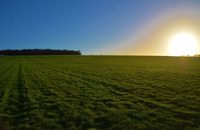 Horse Times Egypt: Equestrian Magazine :HorseTimes Blog :For the Love of Horse Racing