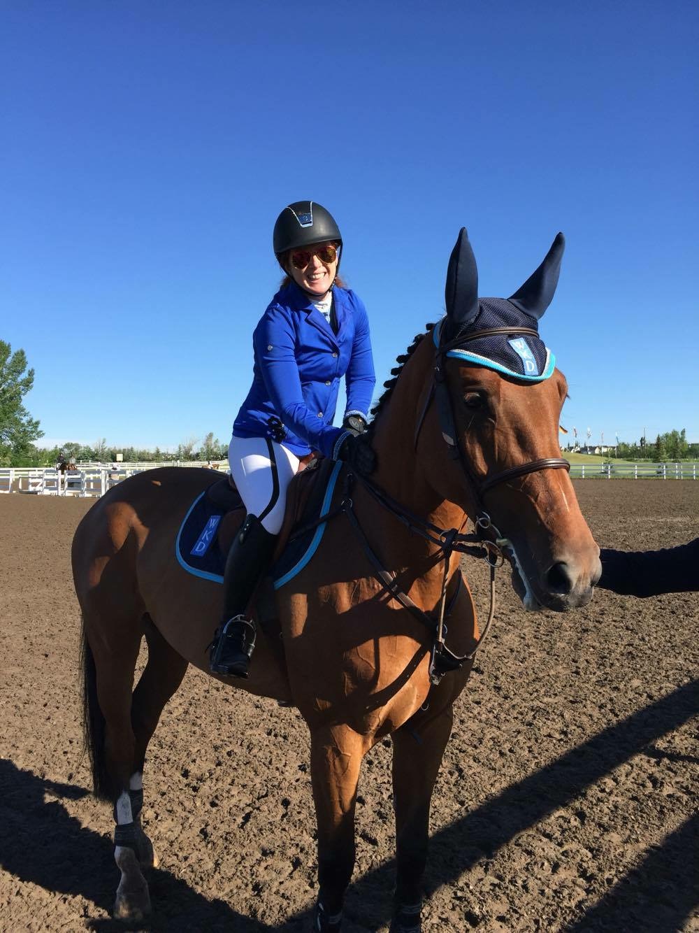 Horse Times Egypt: Equestrian Magazine :HorseTimes Blog :The Perils Of Show Jumping Sport - 32