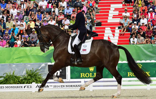 Horse Times Egypt: Equestrian Magazine :HorseTimes Blog :3 OF VALEGRO's FUN FACTS