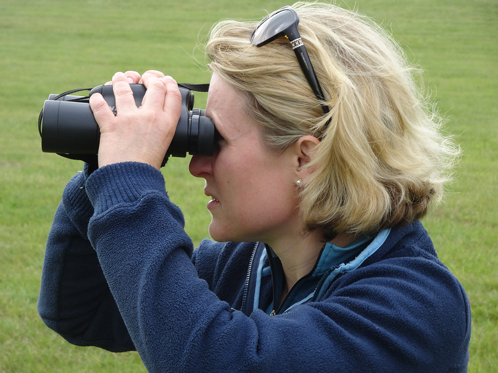 Horse Times Egypt: Equestrian Magazine :HorseTimes Blog :ILKA GANSERA-LEVEQUE