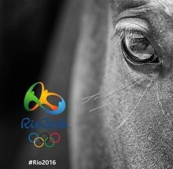 Horse Times Egypt: Equestrian Magazine :News :DAILY INTERESTING FACTS ABOUT THE OLYMPICS
