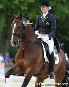 Horse Times Egypt: Equestrian Magazine :News :Youngster in the arena