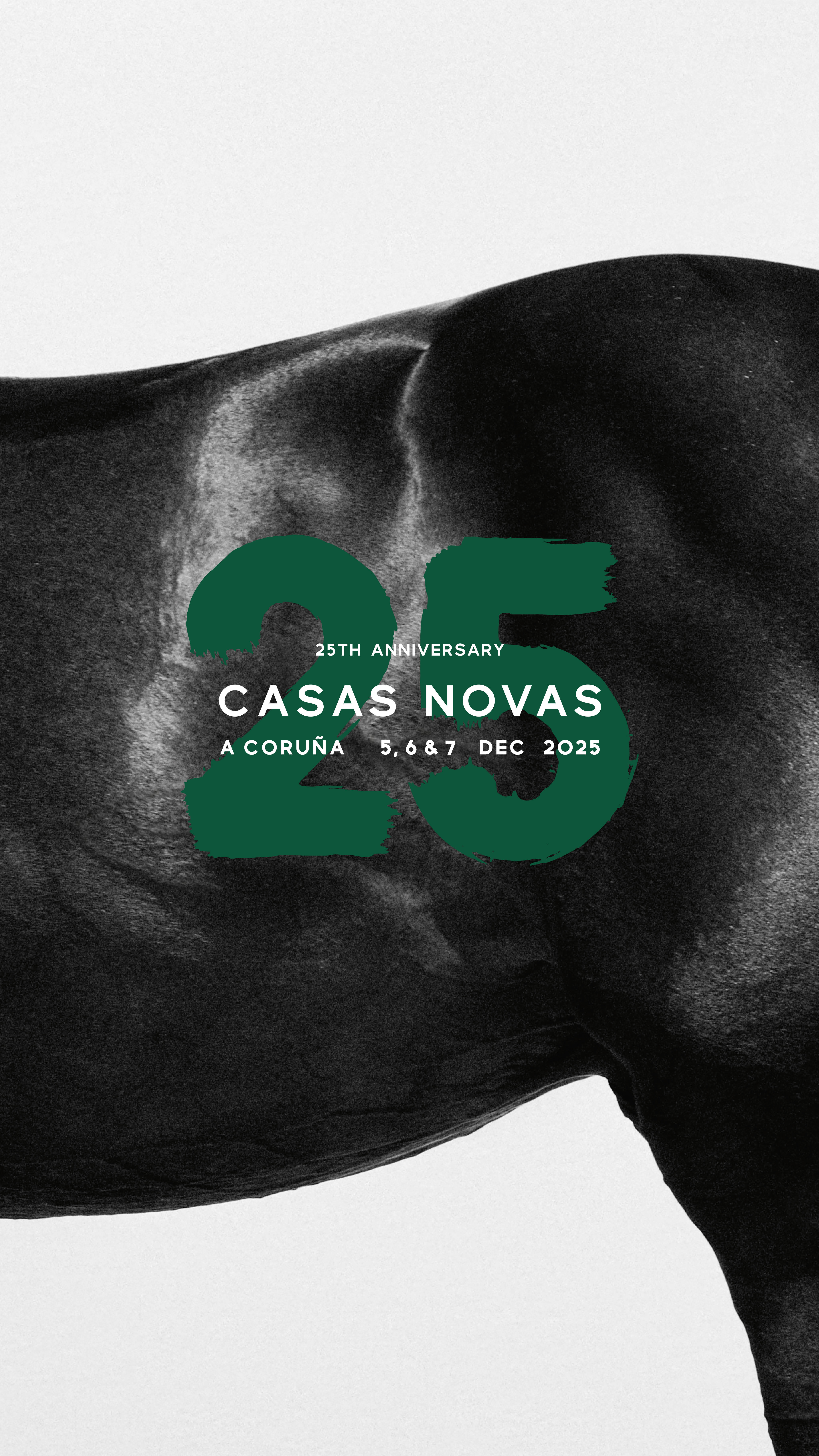 Horse Times Egypt: Equestrian Magazine :Headlines :Monday 24-Nov-2025 Headlines