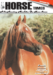 Horse Times Egypt: Equestrian Magazine :Issues :Issue No. 5