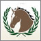 South Africa: International Equestrian Federation