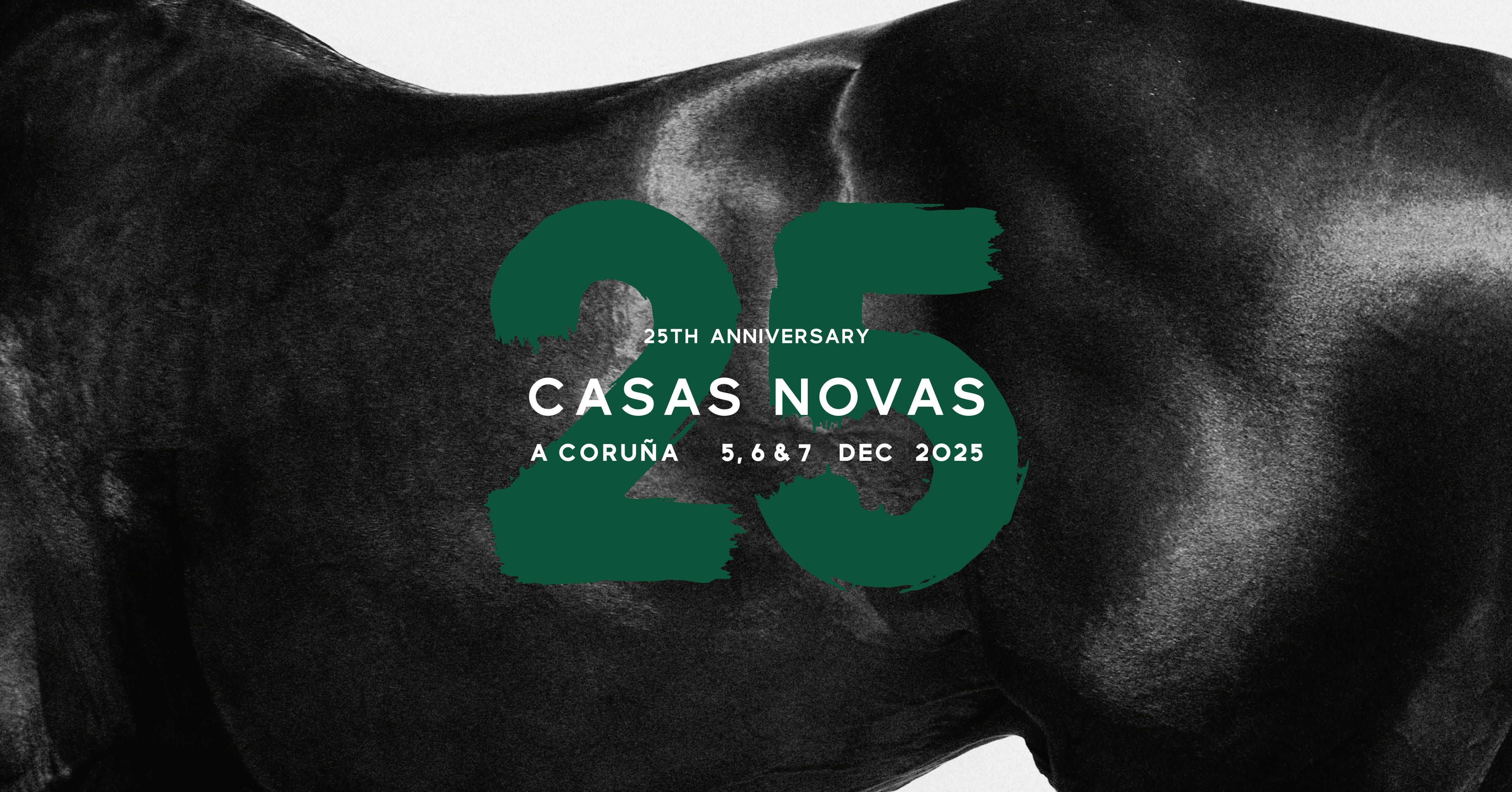 Horse Times Egypt: Equestrian Magazine :News :CSI5* W A CORUÑA WELCOMES TOP INTERNATIONAL HORSE-AND-RIDER COMBINATIONS 