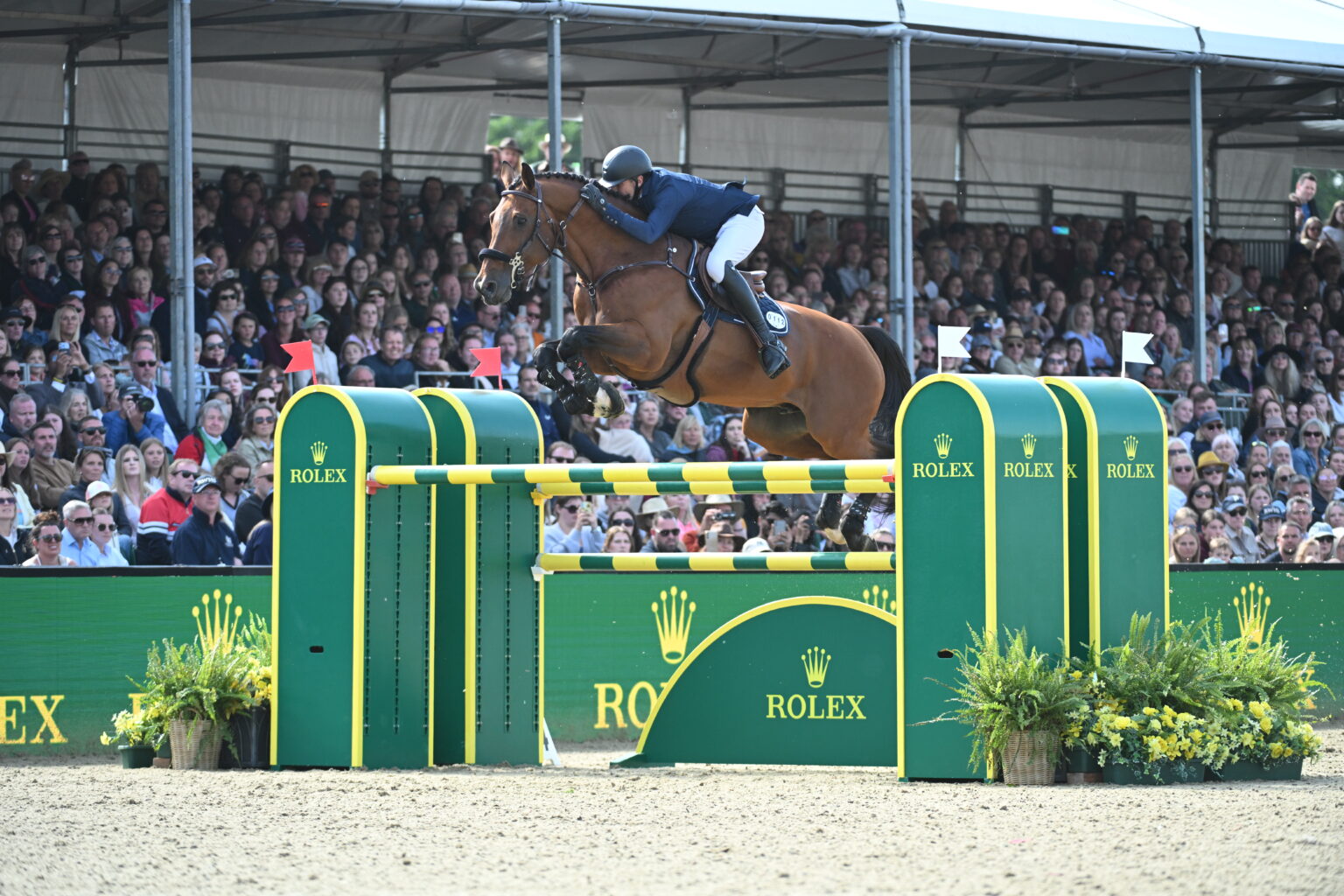 Horse Times Egypt: Equestrian Magazine :News :ROYAL WINDSOR HORSE SHOW 2026 - CSI5*