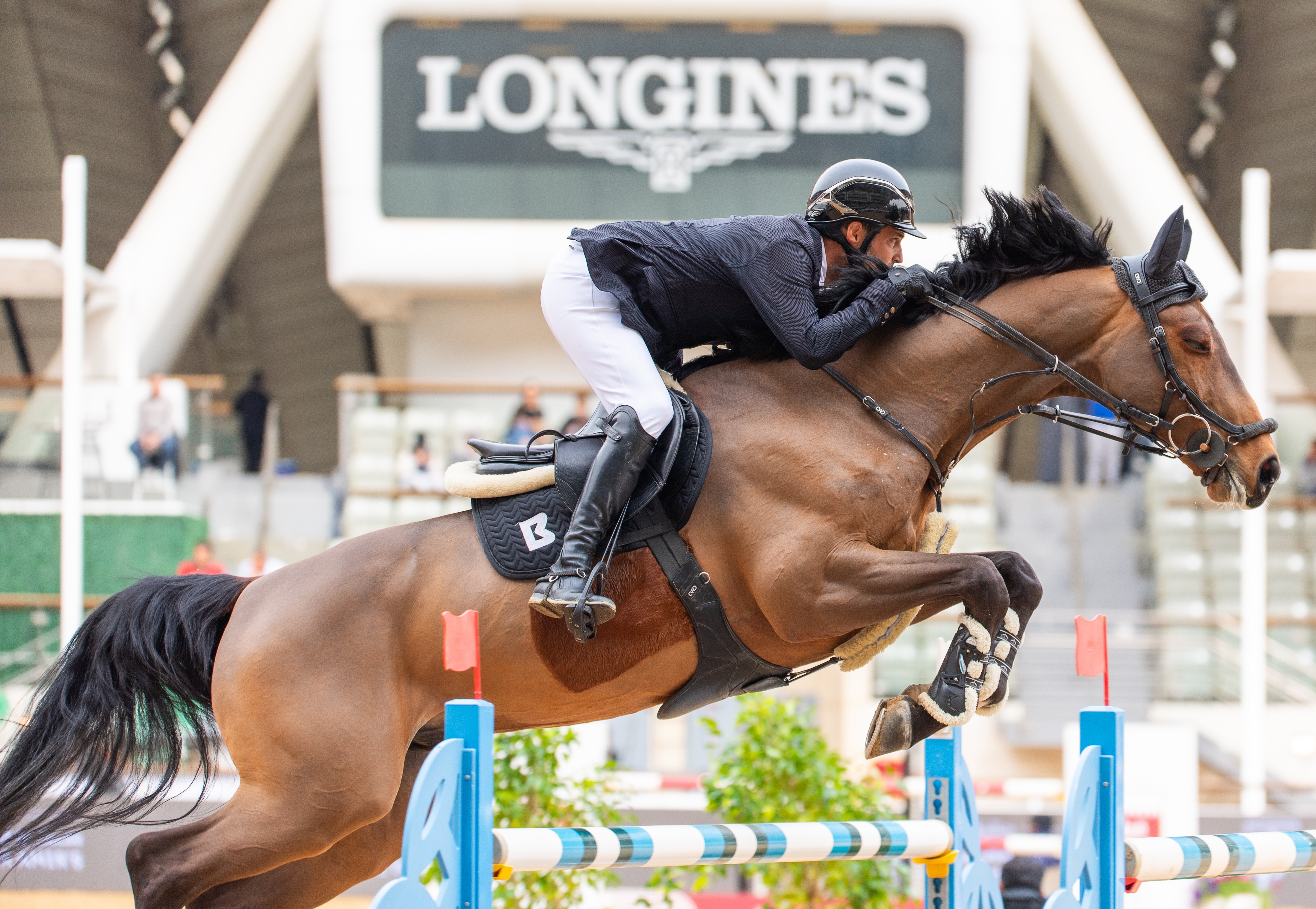 Horse Times Egypt: Equestrian Magazine :News :STEERING FOR AACHEN WITH IBRAHIM BISHARAT