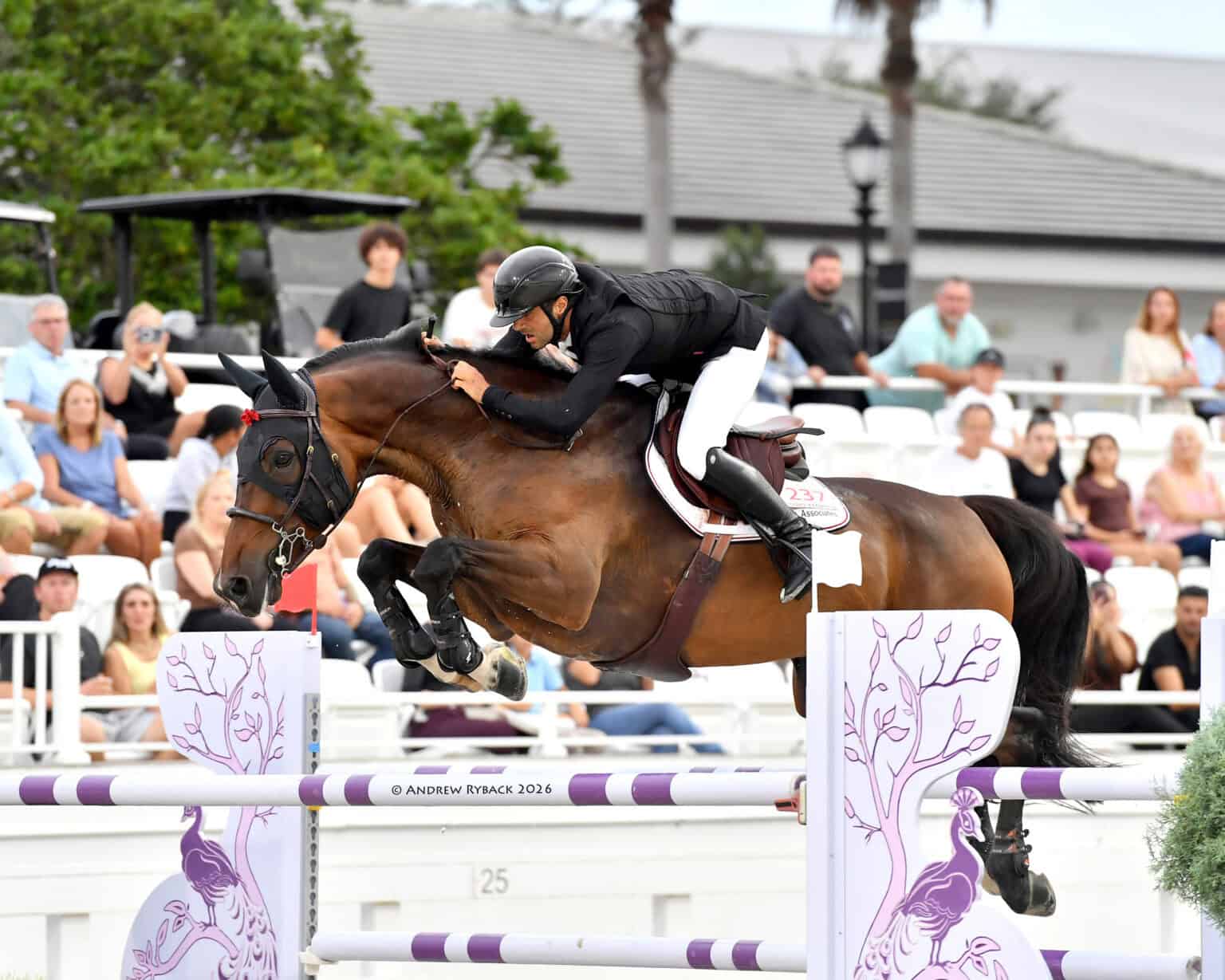 Horse Times Egypt: Equestrian Magazine :News :JAD DANA CONTINUES HIS SUMMER SERIES REIGN IN THE $150,000 HAMPTON GREEN FARMS GRAND PRIX CSI3*