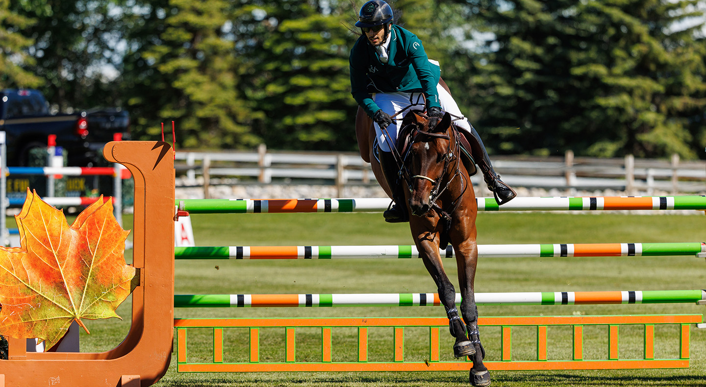 Horse Times Egypt: Equestrian Magazine :News :ABDULRAHMAN ALRAJHI: FAITH, FAMILY & FIVE-STAR ARENAS