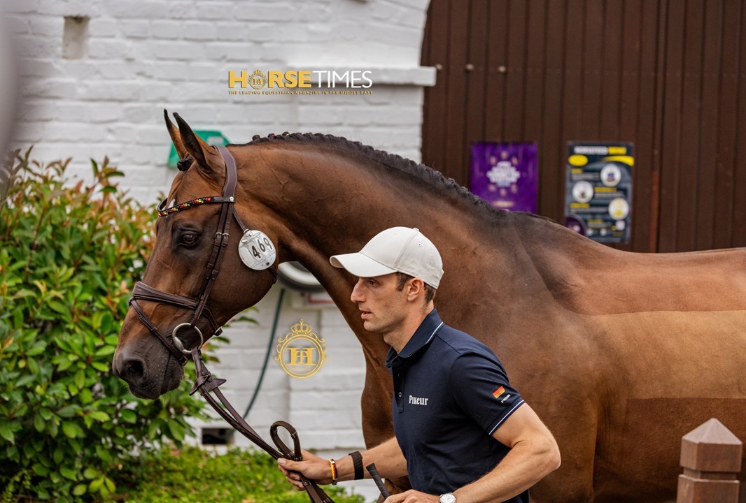 Horse Times Egypt: Equestrian Magazine :News :SHOWJUMPING TAKES CENTRE STAGE AT AACHEN - FEI WORLD EQUESTRIAN CHAMPIONSHIPS 2026