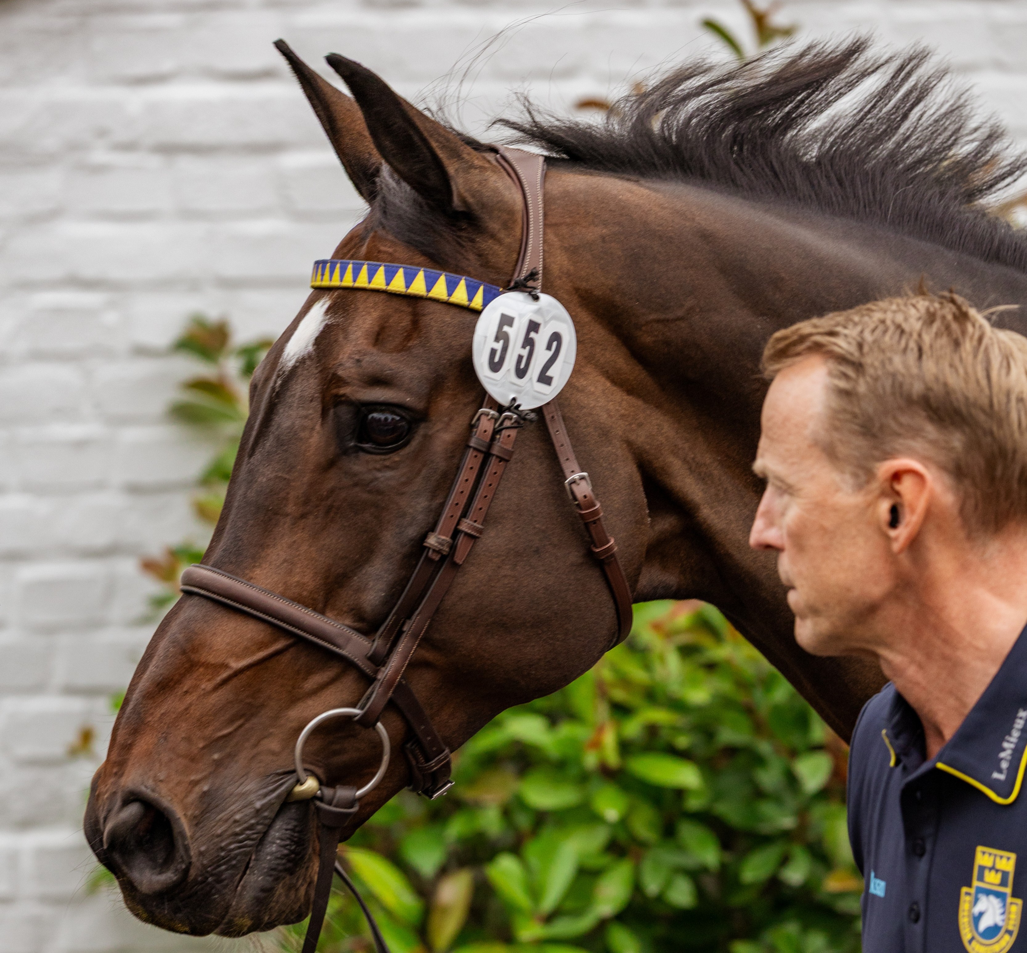 Horse Times Egypt: Equestrian Magazine :News :NEXT GEN PROFESSIONALS TO AWARD US$10,000 BREEDER PRIZE AT THE FEI WORLD CHAMPIONSHIPS AACHEN 2026
