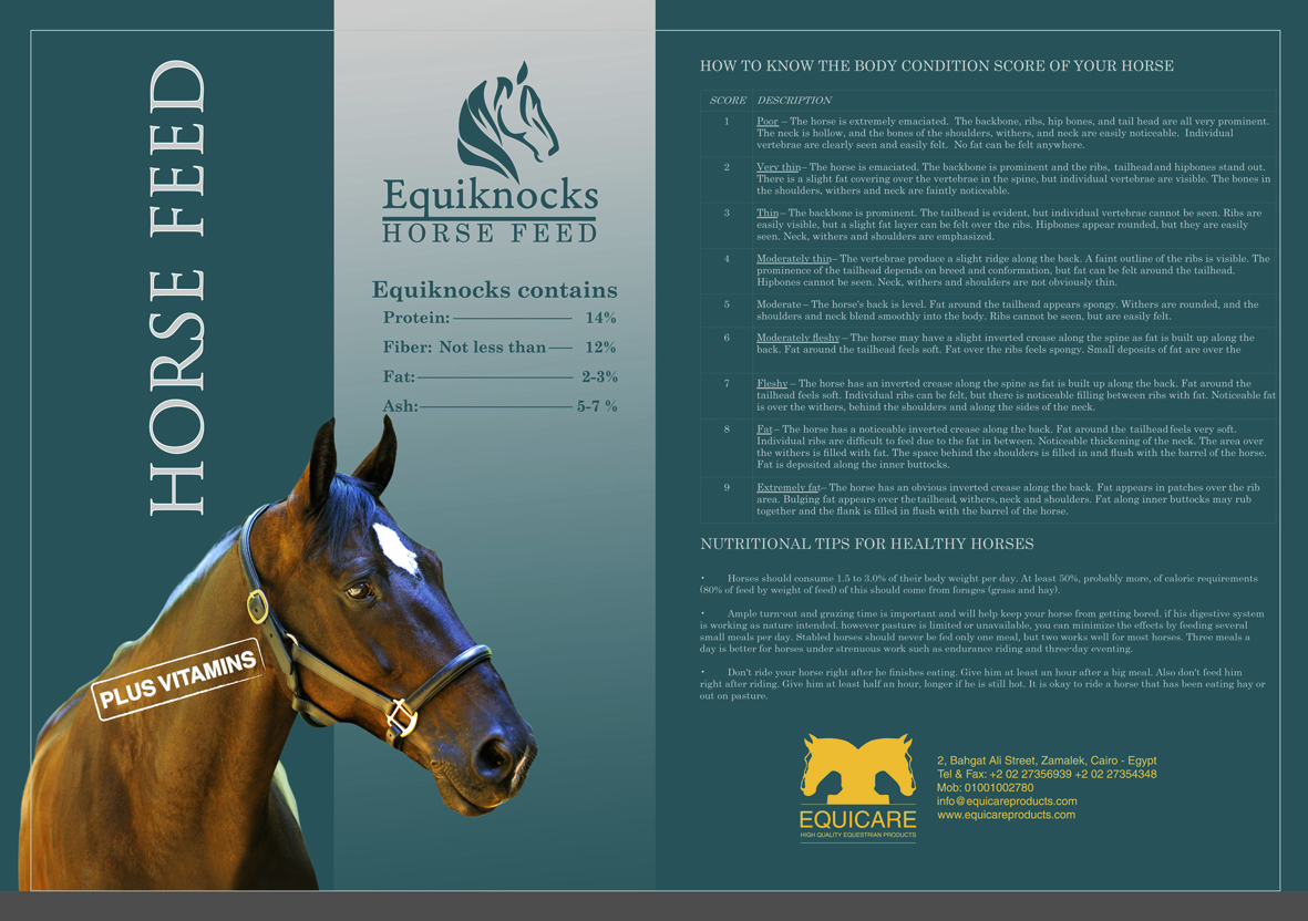 Horse Times Egypt: Equestrian Magazine :News :EQUIKNOCKS HORSE FEED AVAILABLE AT EQUICARE