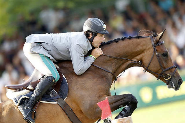 Horse Times Egypt: Equestrian Magazine :News :KING ABDULLAH BIN ABDULAZIZ SHOW JUMPING FESTIVAL UPDATES 