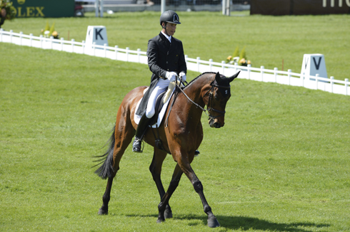 Horse Times Egypt: Equestrian Magazine :News :OLYMPIC EVENT HORSE KING ARTUS DIES