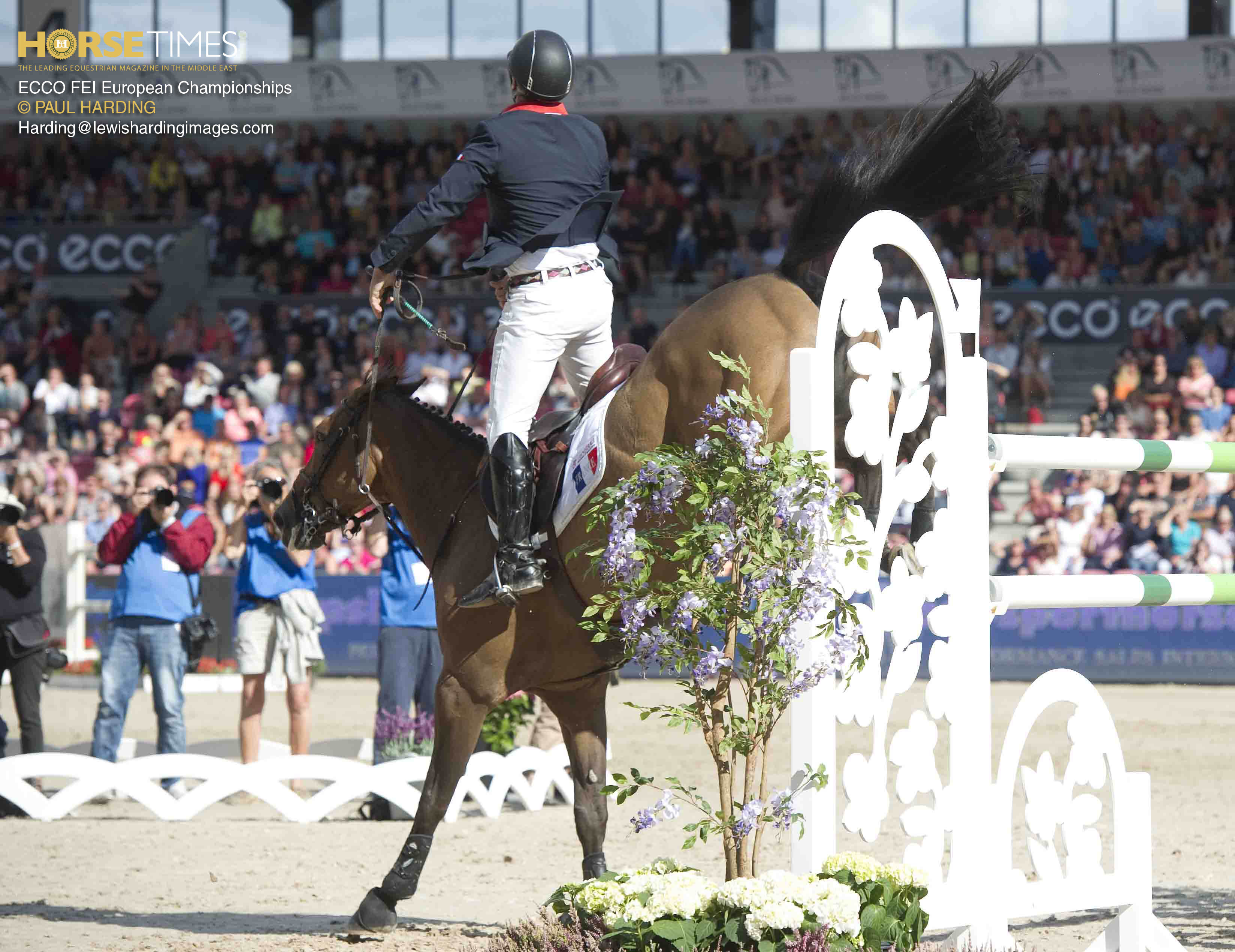 Horse Times Egypt: Equestrian Magazine :News :PHOTOS FROM THE 2013 ECCO FEI EUROPEAN CHAMPIONSHIPS