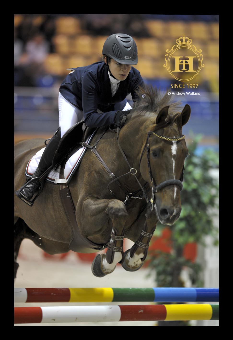 Horse Times Egypt: Equestrian Magazine :News :CSI 3*-W ABU DHABI 2014 UAE - RESULTS