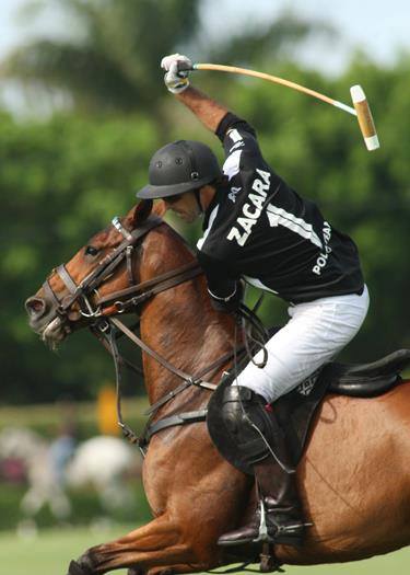 Horse Times Egypt: Equestrian Magazine :News :DUBAI SOUNDLY BEATS THE MIGHT ZACARA