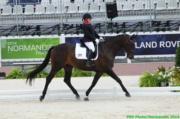 Horse Times Egypt: Equestrian Magazine :News :BRITS RULE THE ROOST ONCE MORE IN GRADE II COMPETITION OF THE ALLTECH FEI WORLD EQUESTRIAN GAMES 2014 IN NORMANDY