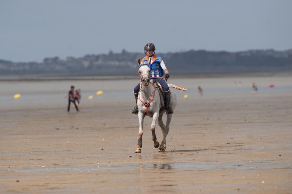 Horse Times Egypt: Equestrian Magazine :News :BEST CONDITION FOR LAIZA DE JALIMA IN ENDURANCE AT THE ALLTECH FEI WORLD EQUESTRIAN GAMES 2014 IN NORMANDY