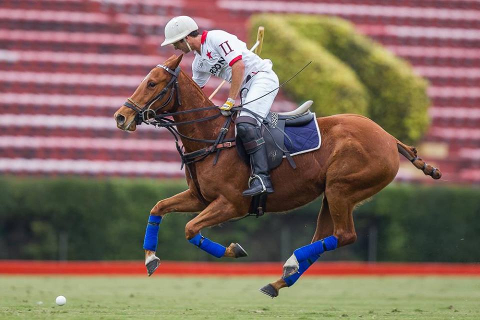 Horse Times Egypt: Equestrian Magazine :News :IF IT AIN’T BROKE, DON’T FIX IT – ARGENTINE POLO ASSOCIATION IS TRYING OUT NEW RULES