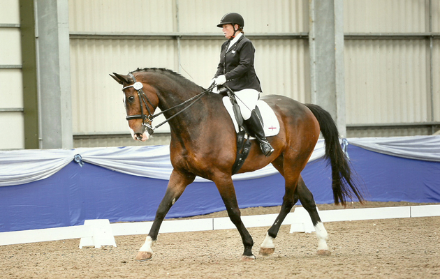 Horse Times Egypt: Equestrian Magazine :News :Para rider with two years left in saddle seeks horse for Rio 2016