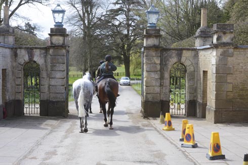 Horse Times Egypt: Equestrian Magazine :News :Riding and leading: how to do it safely