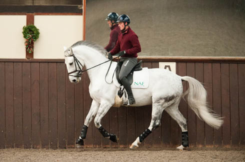 Horse Times Egypt: Equestrian Magazine :News :Michael Eilberg’s 10 training tips: hot horses