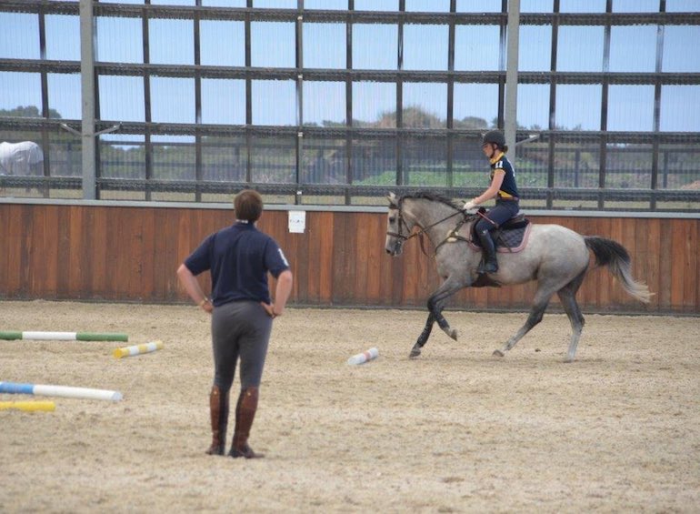 Horse Times Egypt: Equestrian Magazine :News :Sharpen your eye for distances – Poles galore