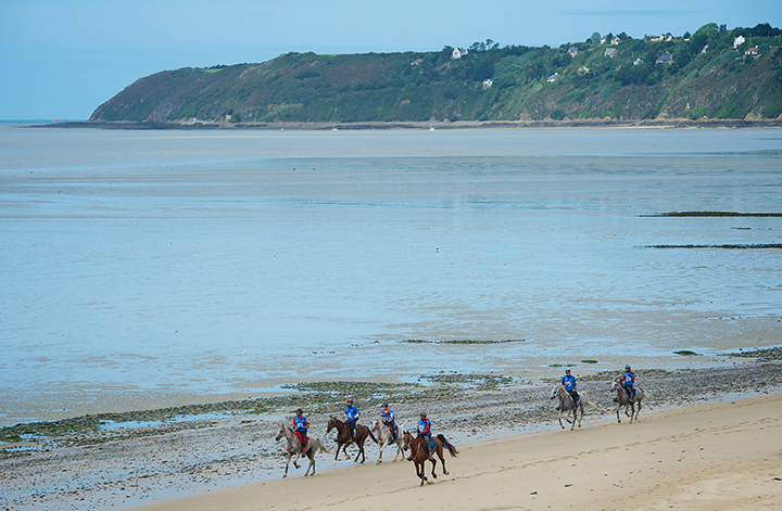 Horse Times Egypt: Equestrian Magazine :News :FEI AND EEF AGREE ENDURANCE MEASURES FOR 2016 SEASON 