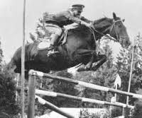 Horse Times Egypt: Equestrian Magazine :News :DURABLE TOP HORSES