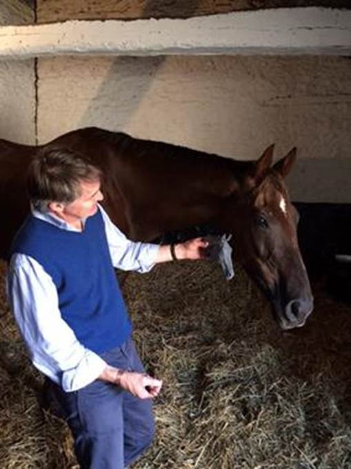 Horse Times Egypt: Equestrian Magazine :News :LAUNCH AT THE OSBORNE STUDIO GALLERY MARCH 8 2017, ONE WEEK BEFORE CHELTENHAM FESTIVAL