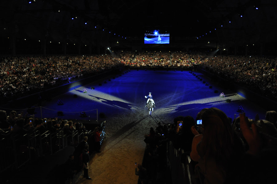Horse Times Egypt: Equestrian Magazine :News :CARL HESTER DOES THE DOUBLE AS VALEGRO RETIRES IN STYLE