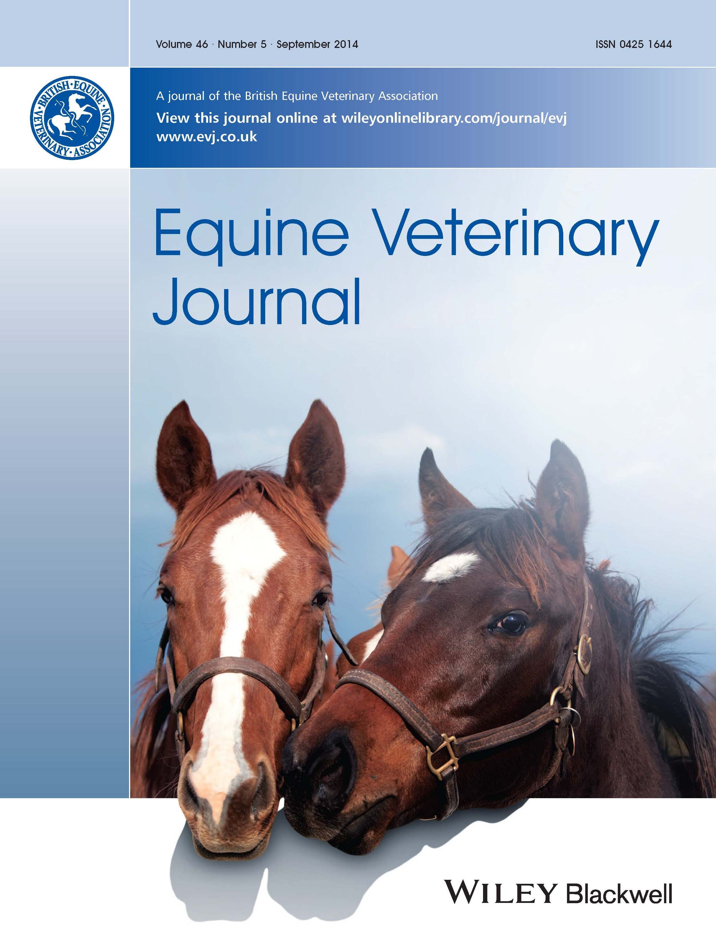 Horse Times Egypt: Equestrian Magazine :News :ANTI-INFLAMMATORIES IN EHV-1 INFECTION 
