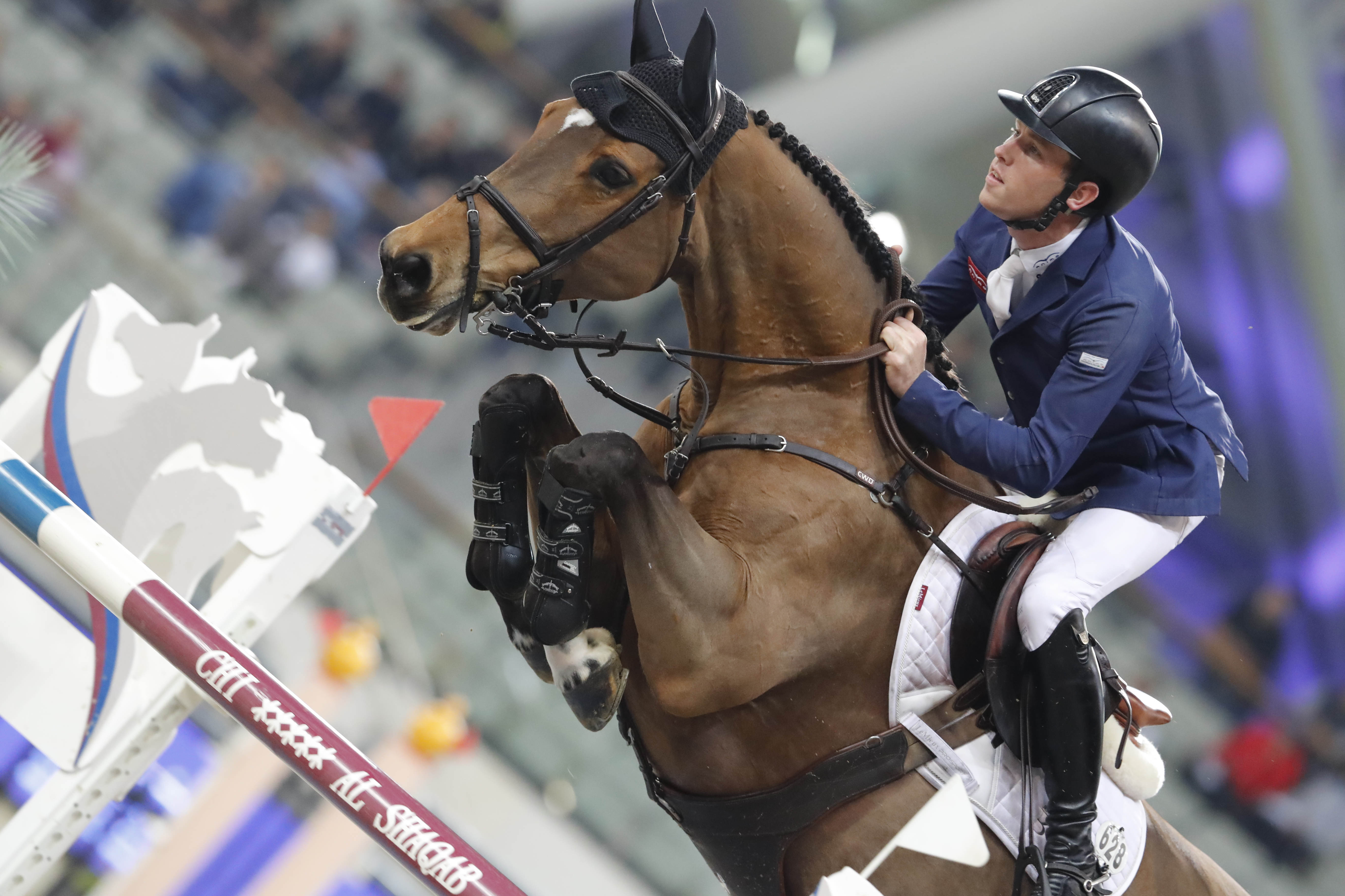 Horse Times Egypt: Equestrian Magazine :News :CHI AL SHAQAB 2017 - SCOTT BRASH CLAIMS THE CSI5* GRAND PRIX