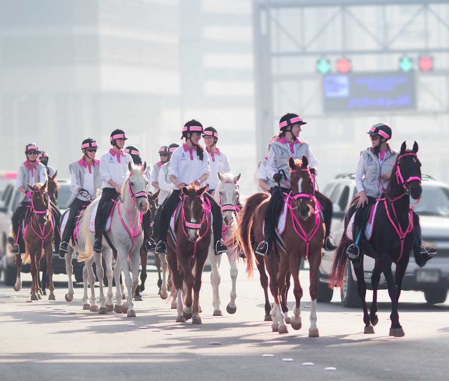 Horse Times Egypt: Equestrian Magazine :News :PINK CARAVAN RIDERS AND VOLUNTEERS WORK OVER 200,000 HOURS FOR BREAST CANCER AWARENESS