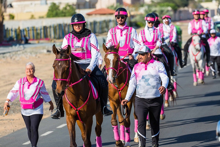 Horse Times Egypt: Equestrian Magazine :News :566 PEOPLE WALK IN FOR FREE SCREENINGS ON DAY 1 OF 7TH PINK CARAVAN RIDE 