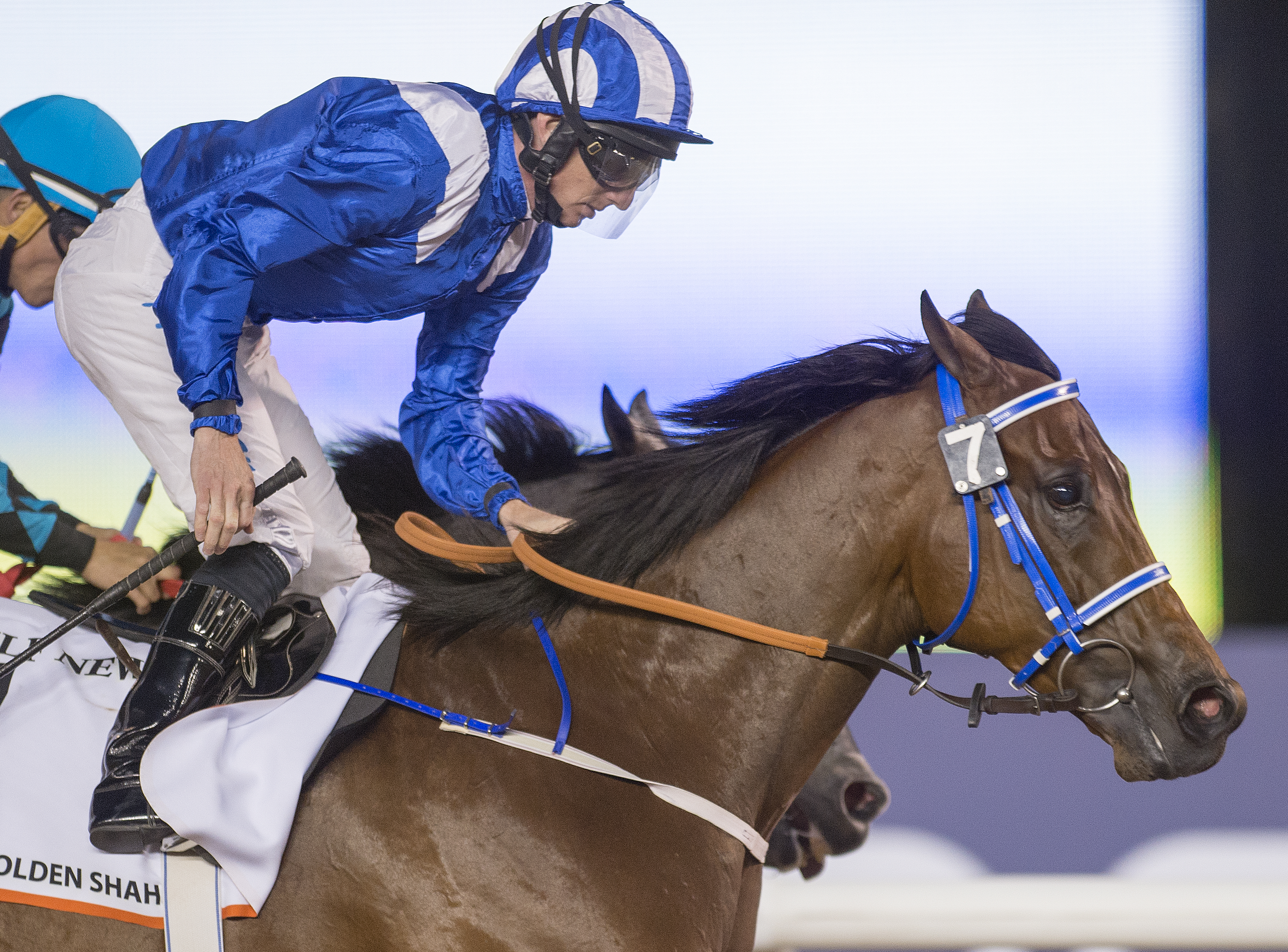 Horse Times Egypt: Equestrian Magazine :News :TRACKWORK NOTES : GROUP ONE OF THE 2 MILLION USD DUBAI GOLDEN SHAHEEN SPONSORED BY GULF NEWS, 1200M 