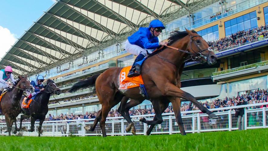 Horse Times Egypt: Equestrian Magazine :News :RIBCHESTER, JACK HOBBS & MOVE UP LEAD POWERFUL DUBAI WORLD CUP NIGHT SQUAD