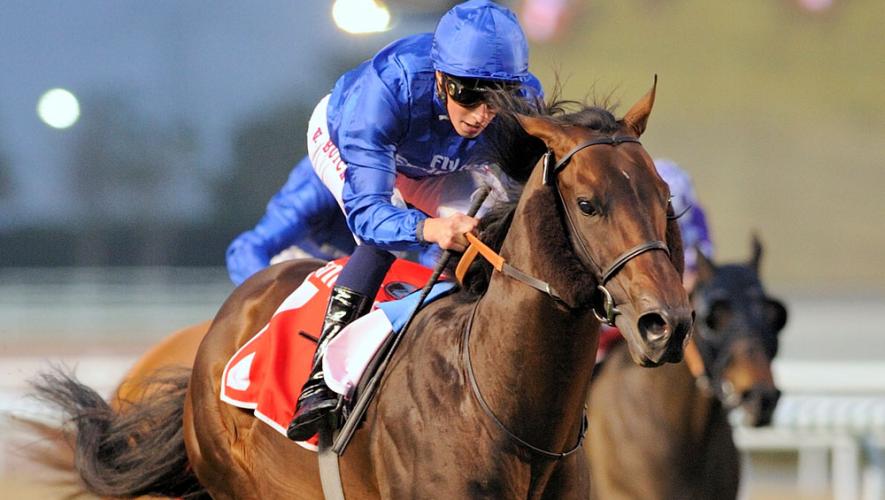 Horse Times Egypt: Equestrian Magazine :News :JUNGLE CAT, BACCARAT & COMICAS BID FOR G1 SPRINT HONOURS