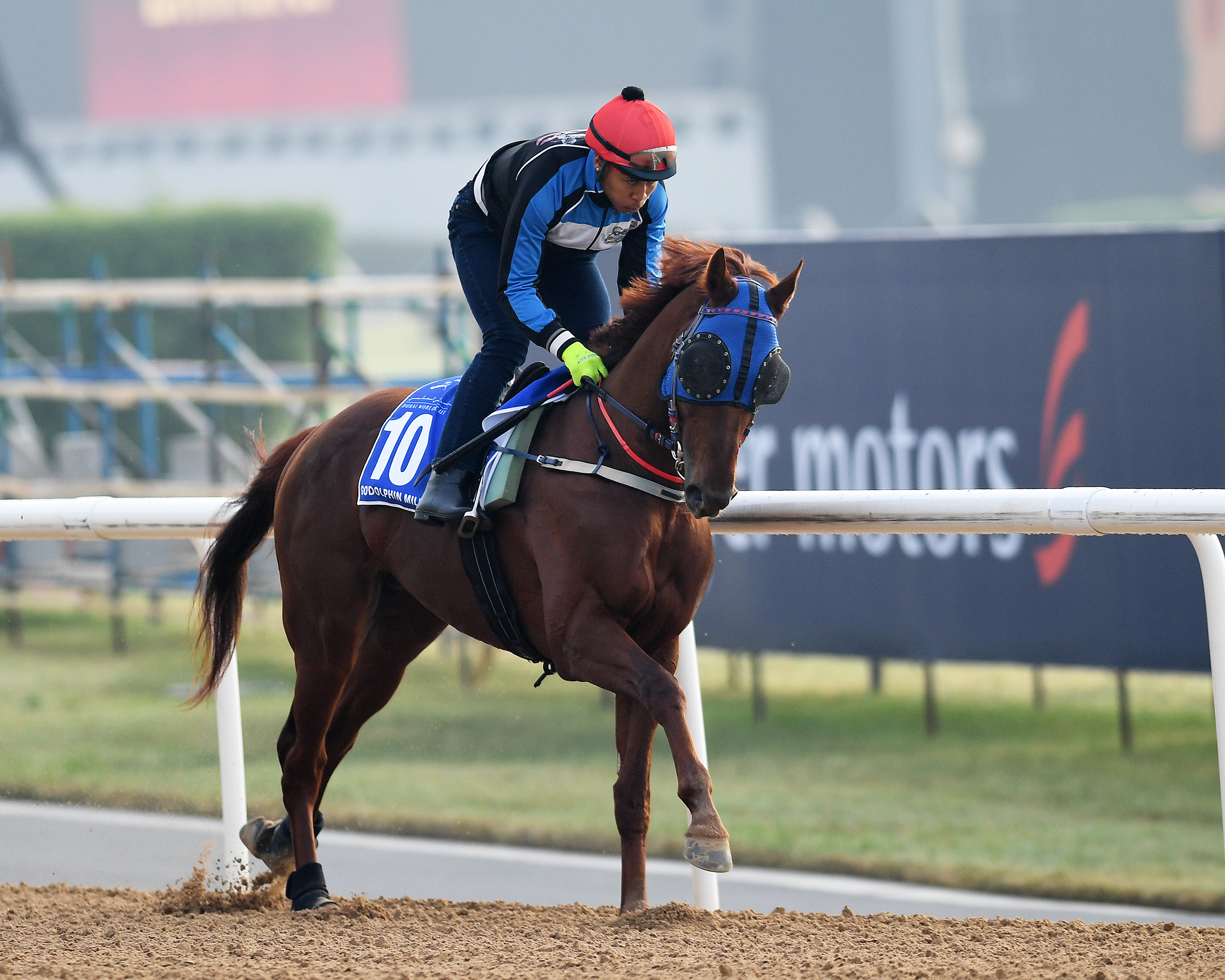 Horse Times Egypt: Equestrian Magazine :News :DUBAI WORLD CUP 2017 : KOREA GOING THE WHOLE NINE YARDS 