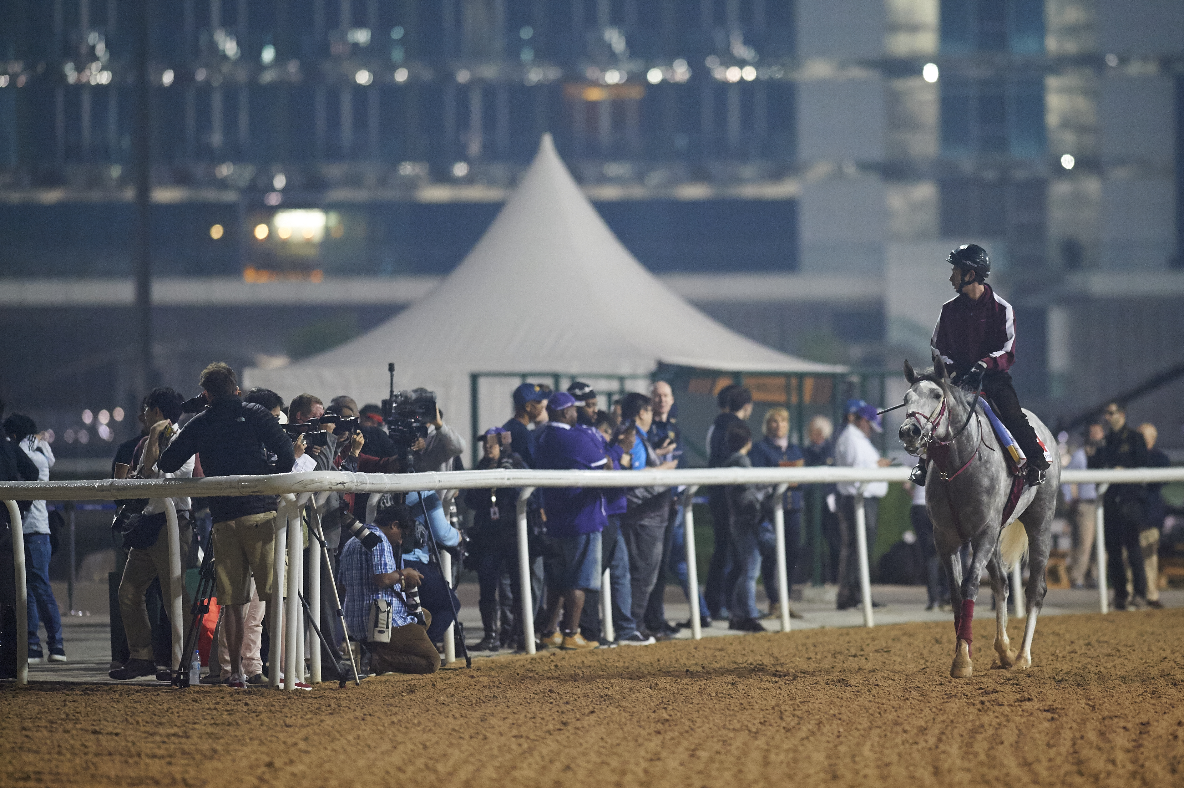 Horse Times Egypt: Equestrian Magazine :News :DWC 2017 : QUOTES FROM TRAINERS AND JOCKEYS WITH ONE DAY LEFT FOR COMPETITION 