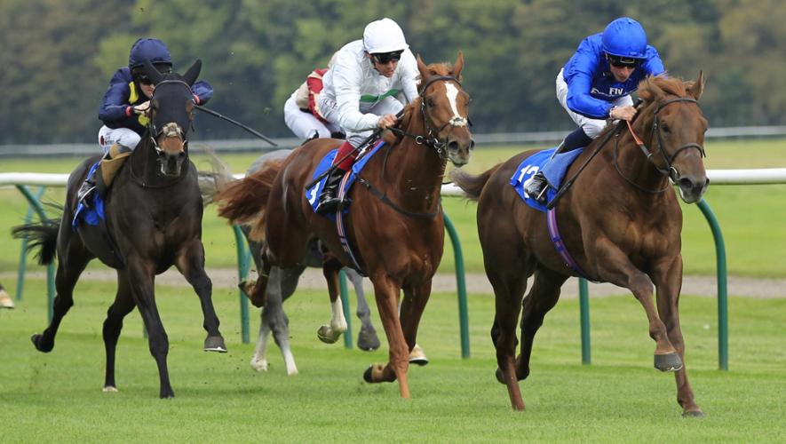 Horse Times Egypt: Equestrian Magazine :News :GODOLPHIN’S YOUMKIN & BAY OF POETS LINE UP IN DERBY TRIAL