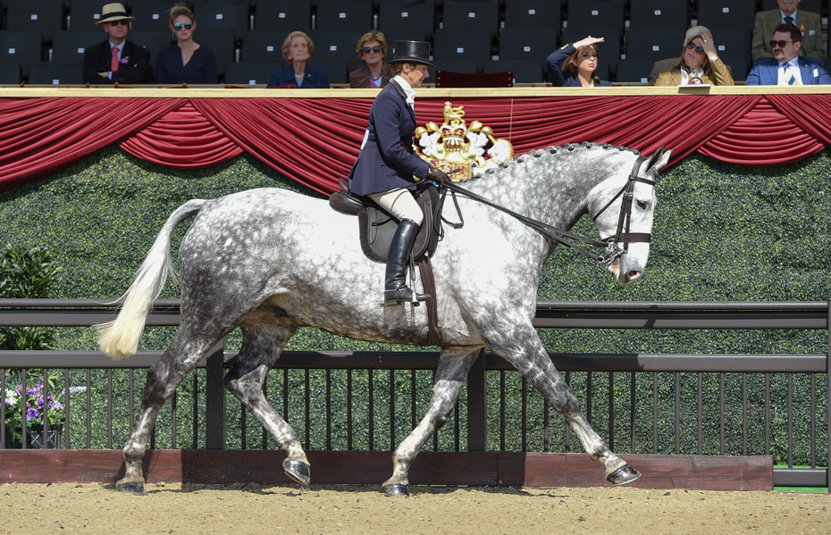 Horse Times Egypt: Equestrian Magazine :News :SUN SHINES FOR OPENING DAY OF ROYAL WINDSOR HORSE SHOW