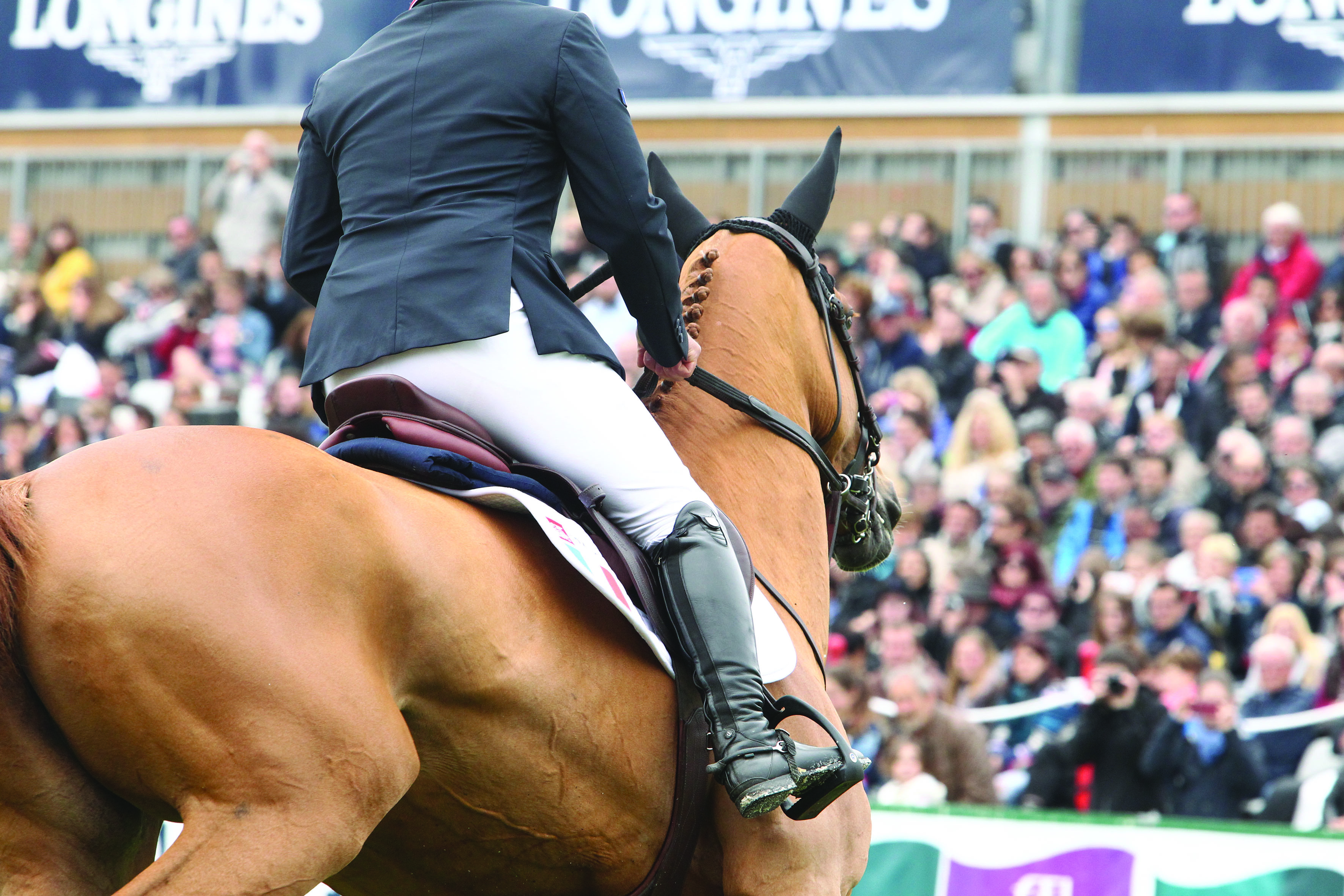Horse Times Egypt: Equestrian Magazine :News :LONGINES JUMPING INTERNATIONAL OF LA BAULE: INSIGHTS
