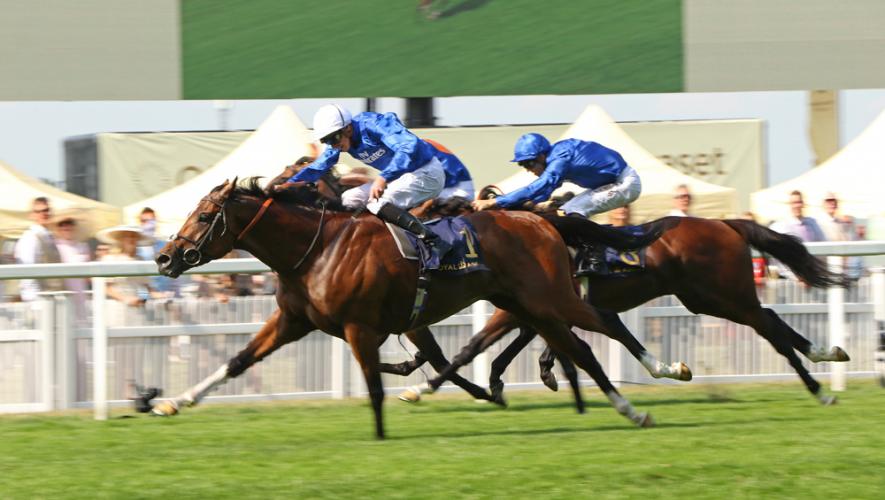 Horse Times Egypt: Equestrian Magazine :News :Barney Roy heads Godolphin trio on day one of York’s Ebor Festival