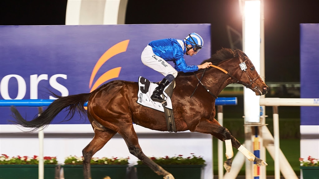 Horse Times Egypt: Equestrian Magazine :News :HEAVY METAL, ETIJAAH AND MUARRAB ROMPS ADRENALIZE PRE-CARNIVAL CARD