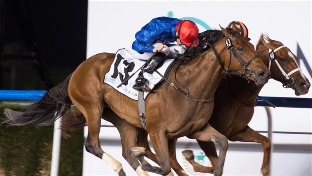 Horse Times Egypt: Equestrian Magazine :News :HREE G1 WINNERS TOP MAKTOUM CHALLENGE R2; WINTER LIGHTNING AND RAYYA RENEW RIVALRY; COMICAS BRINGS SHARP FORM TO AL SHINDAGHA